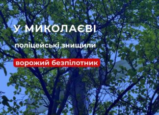 В Николаеве на дереве обнаружили российский беспилотник с боевой частью