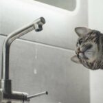 Ряд потребителей без воды: где в Николаеве пройдут аварийные отключения