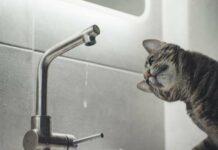 Ряд потребителей без воды: где в Николаеве пройдут аварийные отключения