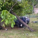 Смертельное ДТП в Вознесенском районе: автомобиль врезался в дерево, погибла пассажирка, — ФОТО