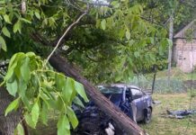 Смертельное ДТП в Вознесенском районе: автомобиль врезался в дерево, погибла пассажирка, — ФОТО