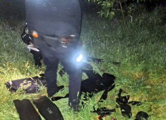 Браконьерство на Ингуле: вблизи Калиновки обнаружили незаконный отлов более 600 раков с убытком в 2 миллиона, — ФОТО