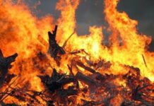 В Николаевской области горело авто, здания и мусор
