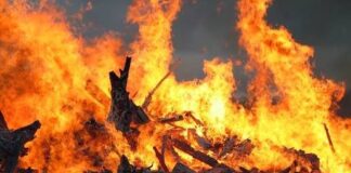 В Николаевской области горело авто, здания и мусор