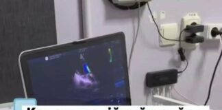 Специалисты Института сердца провели прием в Николаеве: осмотрены почти 40 пациентов, часть направлена на операции
