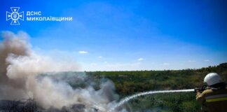 Сутки пожаров в Николаевской области: зафиксировано 24 возгорания, из них два из-за вражеских обстрелов, — ФОТО