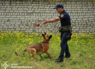 Пушистая спасательница: в ГСЧС Николаевщины рассказали о служебной собаке Майе, — ФОТО, ВИДЕО