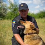 Четырехлапые саперы ГСЧС на Николаевщине: как готовят собак к разминированию, — ФОТО