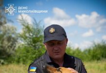 Четырехлапые саперы ГСЧС на Николаевщине: как готовят собак к разминированию, — ФОТО