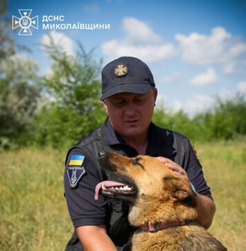 Четырехлапые саперы ГСЧС на Николаевщине: как готовят собак к разминированию, — ФОТО
