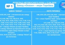 Маршрут №1 в Николаеве частично сократят после завершения работы автобусов