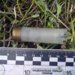 В Николаевской области мужчина застрелил соседского щенка, — ФОТО