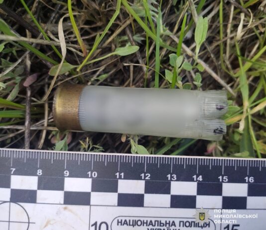 В Николаевской области мужчина застрелил соседского щенка, — ФОТО