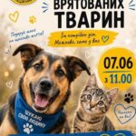 В Николаеве будут искать семьи для спасенных животных: когда и где пройдет выставка