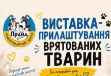 В Николаеве будут искать семьи для спасенных животных: когда и где пройдет выставка