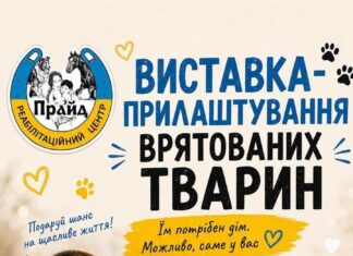 В Николаеве будут искать семьи для спасенных животных: когда и где пройдет выставка