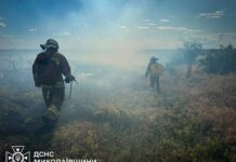 Ожоги и госпитализация: в Николаевской области пенсионерка травмировалась во время пожара на даче, — ФОТО