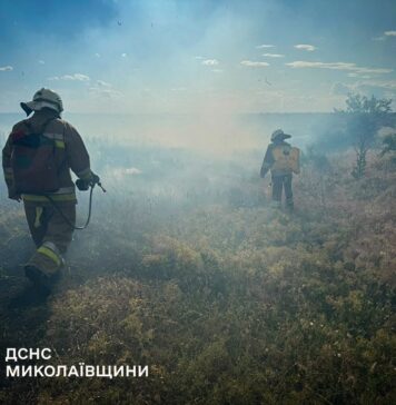 Ожоги и госпитализация: в Николаевской области пенсионерка травмировалась во время пожара на даче, — ФОТО
