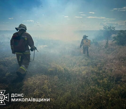 Ожоги и госпитализация: в Николаевской области пенсионерка травмировалась во время пожара на даче, — ФОТО