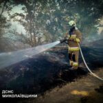 Леса, дома и поля: в Николаевской области зафиксировали 35 пожаров, — ФОТО