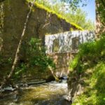 История уникальной балки Корабелки Николаевской области, — ФОТО