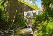 История уникальной балки Корабелки Николаевской области, — ФОТО
