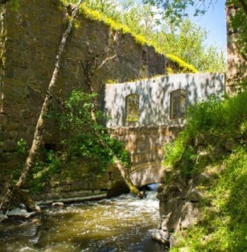 История уникальной балки Корабелки Николаевской области, — ФОТО