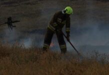 За сутки в Николаевской области ликвидировали 41 пожар: вражеские обстрелы и массовые возгорания экосистем уничтожили гектары полей, — ФОТО