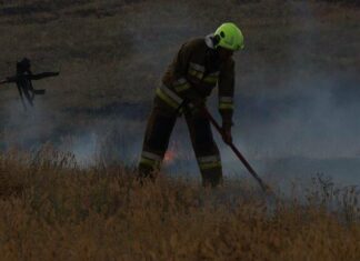 За сутки в Николаевской области ликвидировали 41 пожар: вражеские обстрелы и массовые возгорания экосистем уничтожили гектары полей, — ФОТО