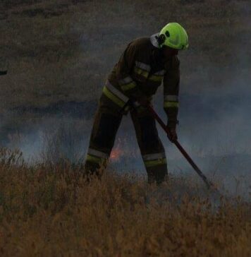 За сутки в Николаевской области ликвидировали 41 пожар: вражеские обстрелы и массовые возгорания экосистем уничтожили гектары полей, — ФОТО