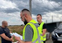 В Николаевской области задержали водителя, спровоцировавшего ДТП с 12 погибшими, — ФОТО