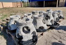 Экологический прорыв в Николаевской области: в Березанском лимане установили первые искусственные рифы, — ФОТО