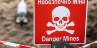 Наезд на взрывчатку во время работ: в Баштанском районе на неизвестном предмете взорвался трактор