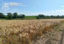 Дело о 69 га земли на Казанковщине: участки должны вернуть учебным заведениям