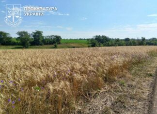 Дело о 69 га земли на Казанковщине: участки должны вернуть учебным заведениям