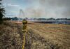 В Николаевской области огнеборцы ликвидировали 8 пожаров в сутки: горели сухостой, мусор и подъезд дома
