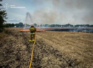 В Николаевской области огнеборцы ликвидировали 8 пожаров в сутки: горели сухостой, мусор и подъезд дома
