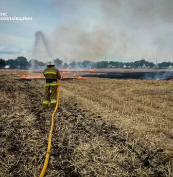 В Николаевской области огнеборцы ликвидировали 8 пожаров в сутки: горели сухостой, мусор и подъезд дома