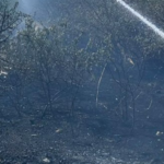 Более 30 пожаров в сутки на Николаевщине: ранены, выгорело более 14 гектаров территорий, — ФОТО