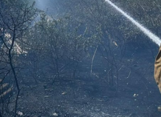 Более 30 пожаров в сутки на Николаевщине: ранены, выгорело более 14 гектаров территорий, — ФОТО