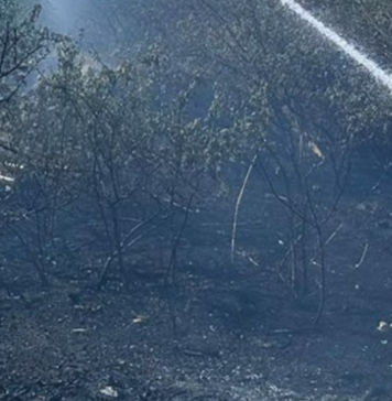 Более 30 пожаров в сутки на Николаевщине: ранены, выгорело более 14 гектаров территорий, — ФОТО