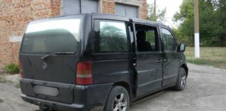 В Баштанщине мужчину приговорили к 5 годам заключения; он сбил насмерть собственного отца