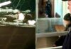 93 дерева и миллионный ущерб: в Николаевской области разоблачили группу «черных лесорубов», — ФОТО