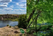 Впервые на юге Украины: в Трикратском лесу обустроят веломаршрут