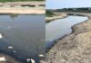 В Николаевской области проверили информацию о спуске воды со пруда возле Терновских дач, — ФОТО