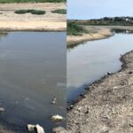 В Николаевской области проверили информацию о спуске воды со пруда возле Терновских дач, — ФОТО