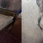 Подозреваемый в попытке сжечь двух человек на Николаевщине взяли под стражу, — ФОТО