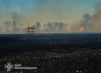 53 пожара за сутки: в Николаевской области сгорели десятки гектаров урожая и сухостоя, — ФОТО
