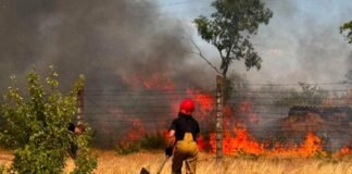 В Николаеве спасатели тушат масштабный пожар: огонь приближается к жилому сектору, — ФОТО