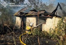 Огонь охватил более 9 гектаров заповедной зоны: в Николаевской области за сутки ликвидировали 44 пожара, — ФОТО